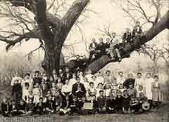 Antique picture of a large family; Size=240 pixels wide